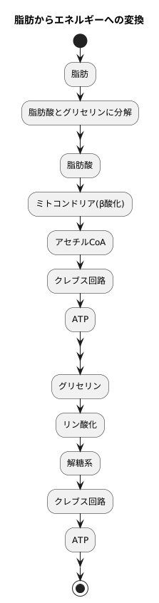 エネルギーへの変換