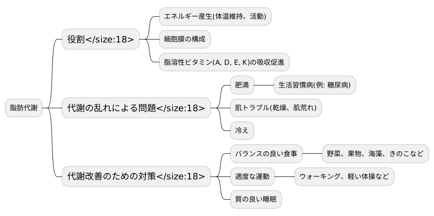 脂肪代謝と健康