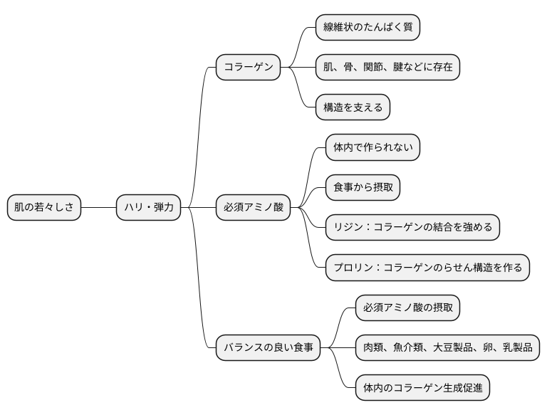必須アミノ酸とコラーゲンの関係
